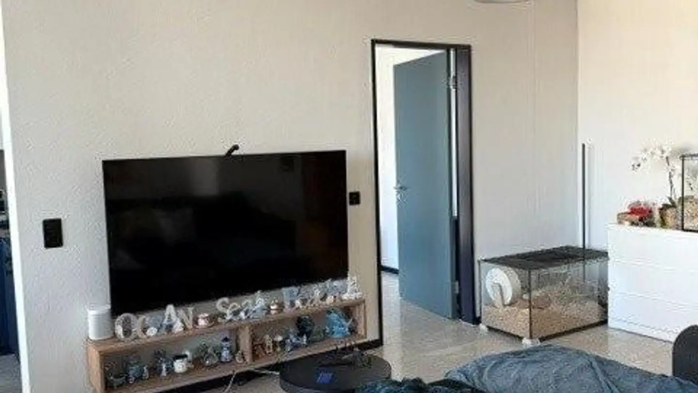 Apartment for rent - Alte Landstrasse 3, 8302 Kloten - Photo 3