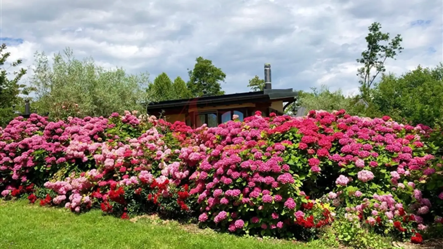 Single house for sale - 1028 Préverenges