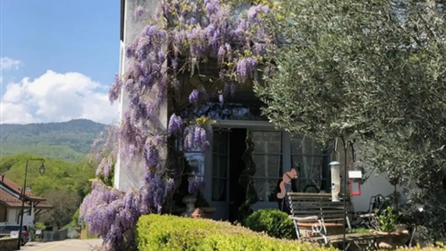 Casa singola in vendita - Route De La Scie 12, 1271 Givrins