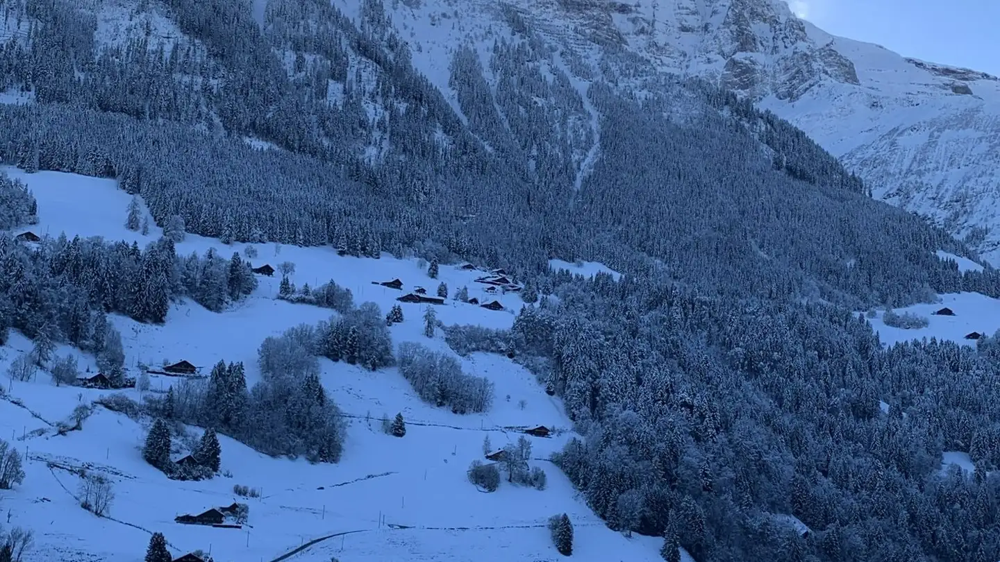 Appartement à vendre - Route Des Crosets, 1873 Val-d'Illiez