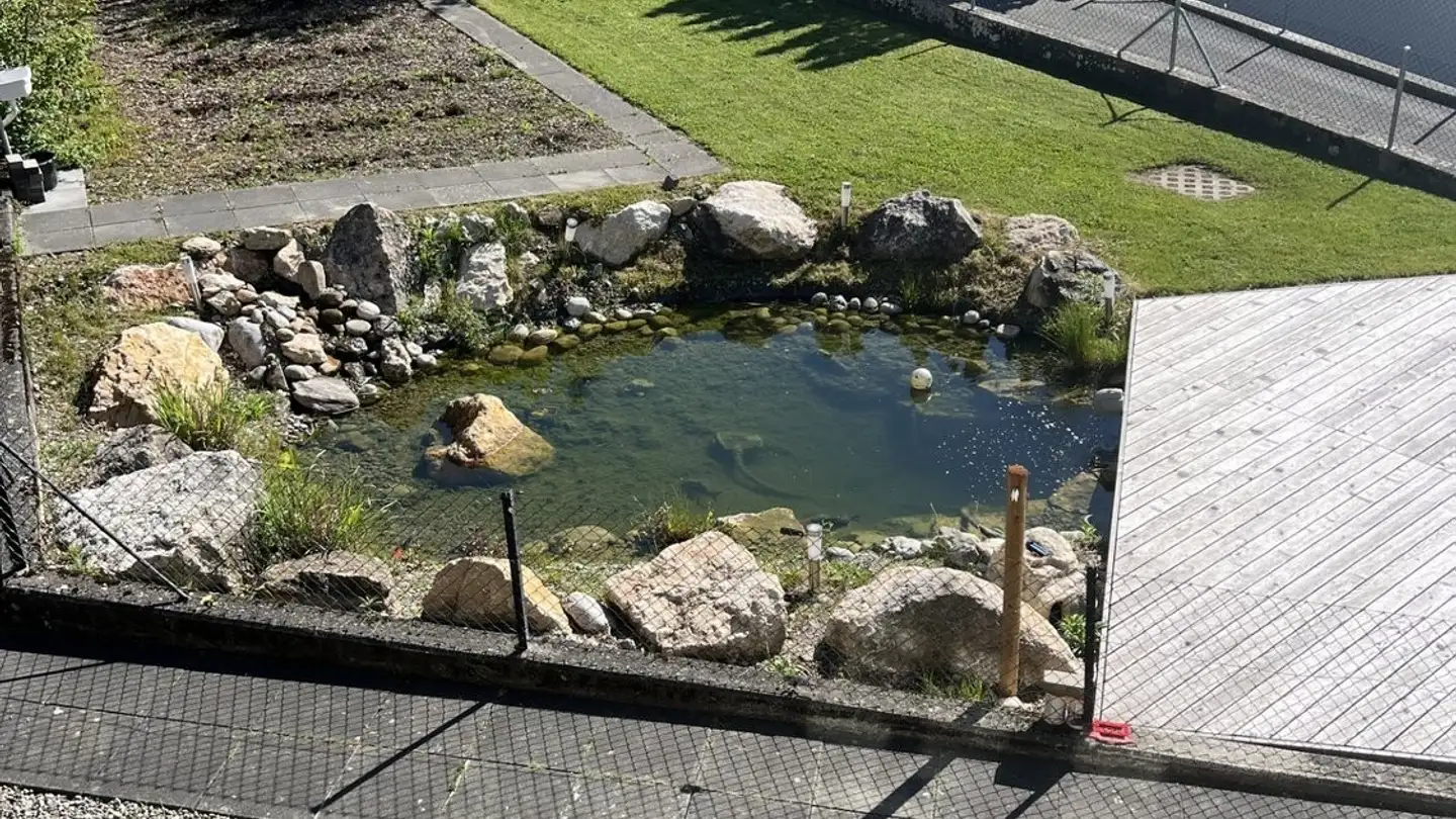 Appartement à louer - Wangenhubelstrasse 26, 3173 Oberwangen b. Bern