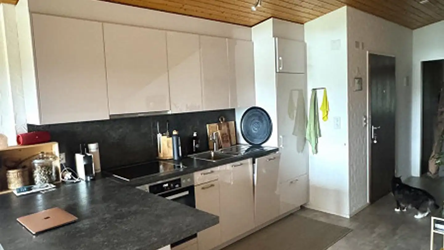 Appartamento in affitto - Via Caglims 7d, 7017 Flims Dorf - Foto 4