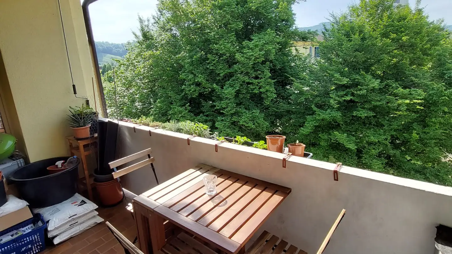 Single room for rent - Birseckstrasse 39, 4142 Münchenstein - Photo 4