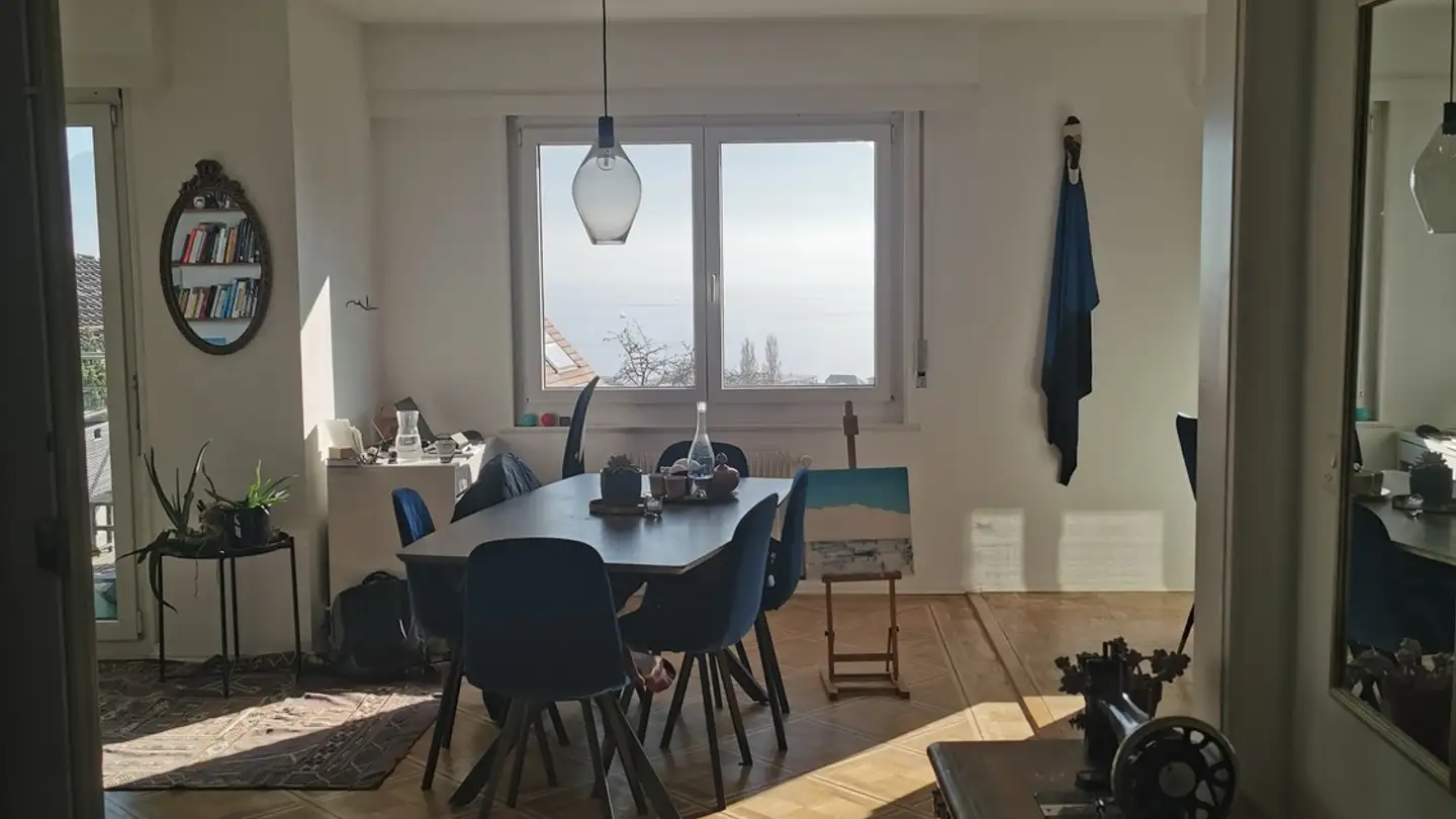 Single room for rent - Chemin Des Plateires 22, 1009 Pully