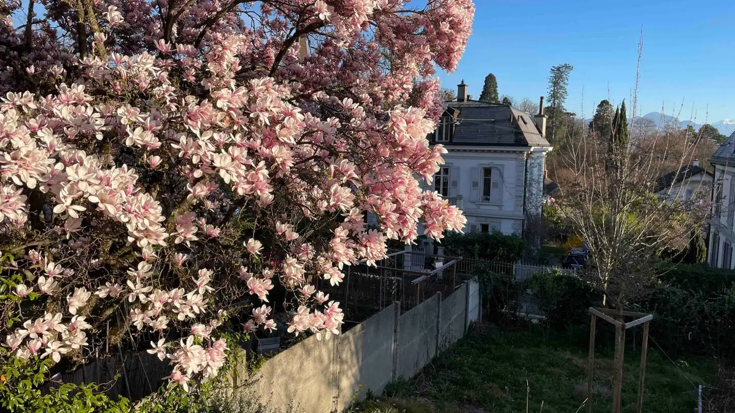 Chambre à louer - 1007 Lausanne - Photo 2