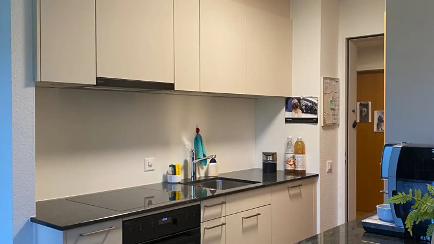 Appartamento in affitto - Sonnenhofring 20, 4153 Reinach BL - Photo 3