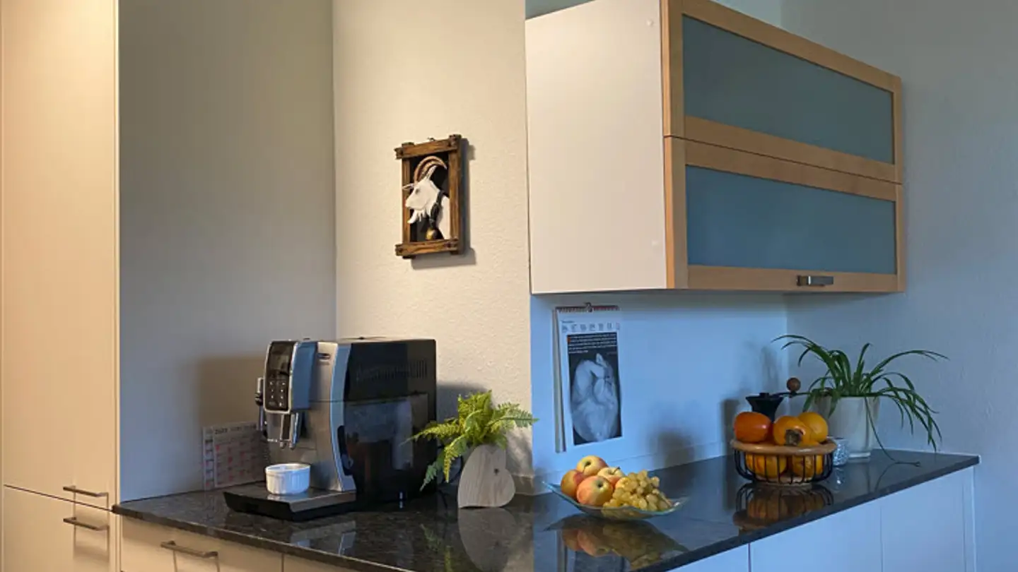 Appartamento in affitto - Sonnenhofring 20, 4153 Reinach BL - Photo 4