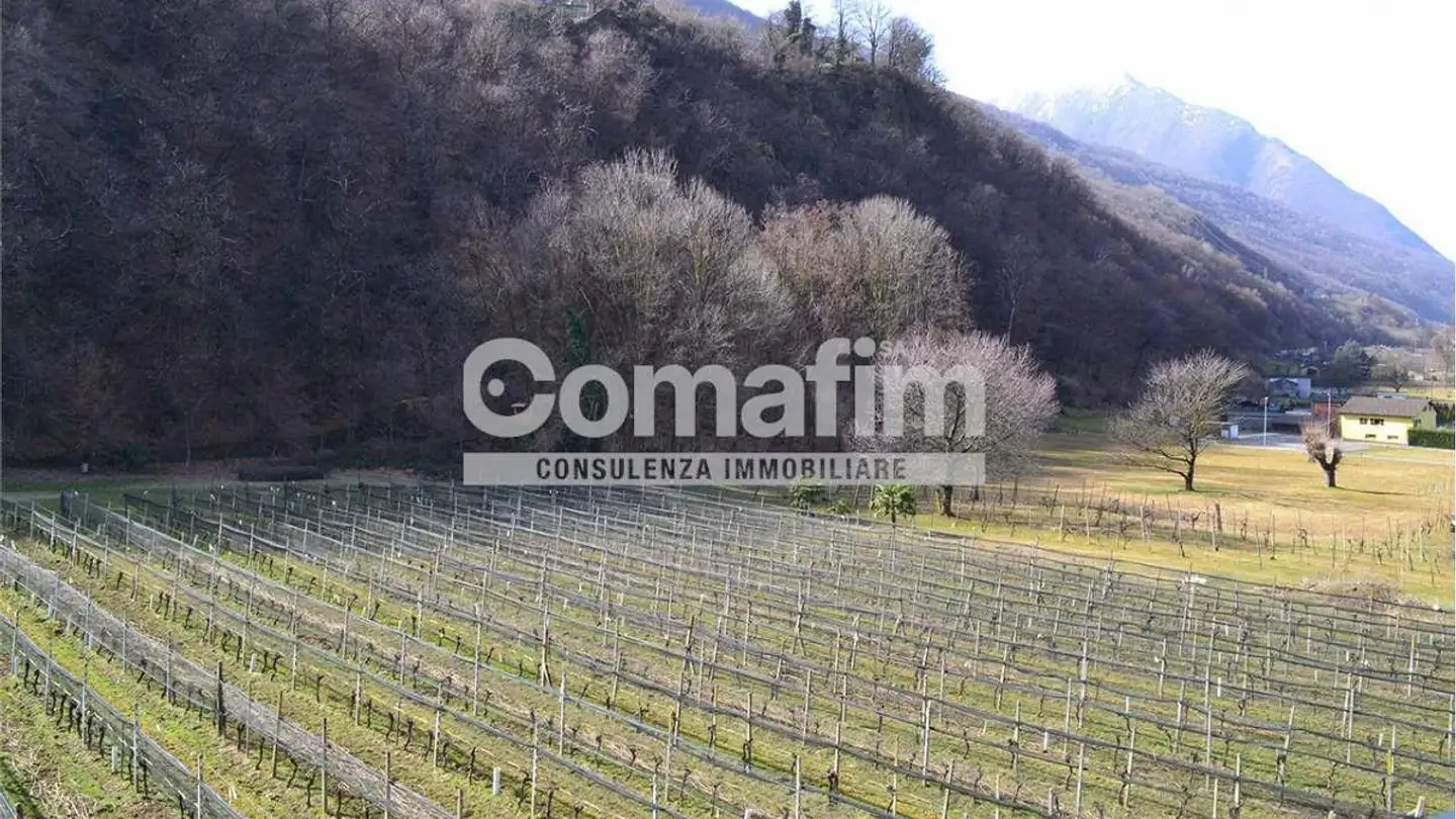 Appartamento in vendita - 6593 Cadenazzo - Photo 3