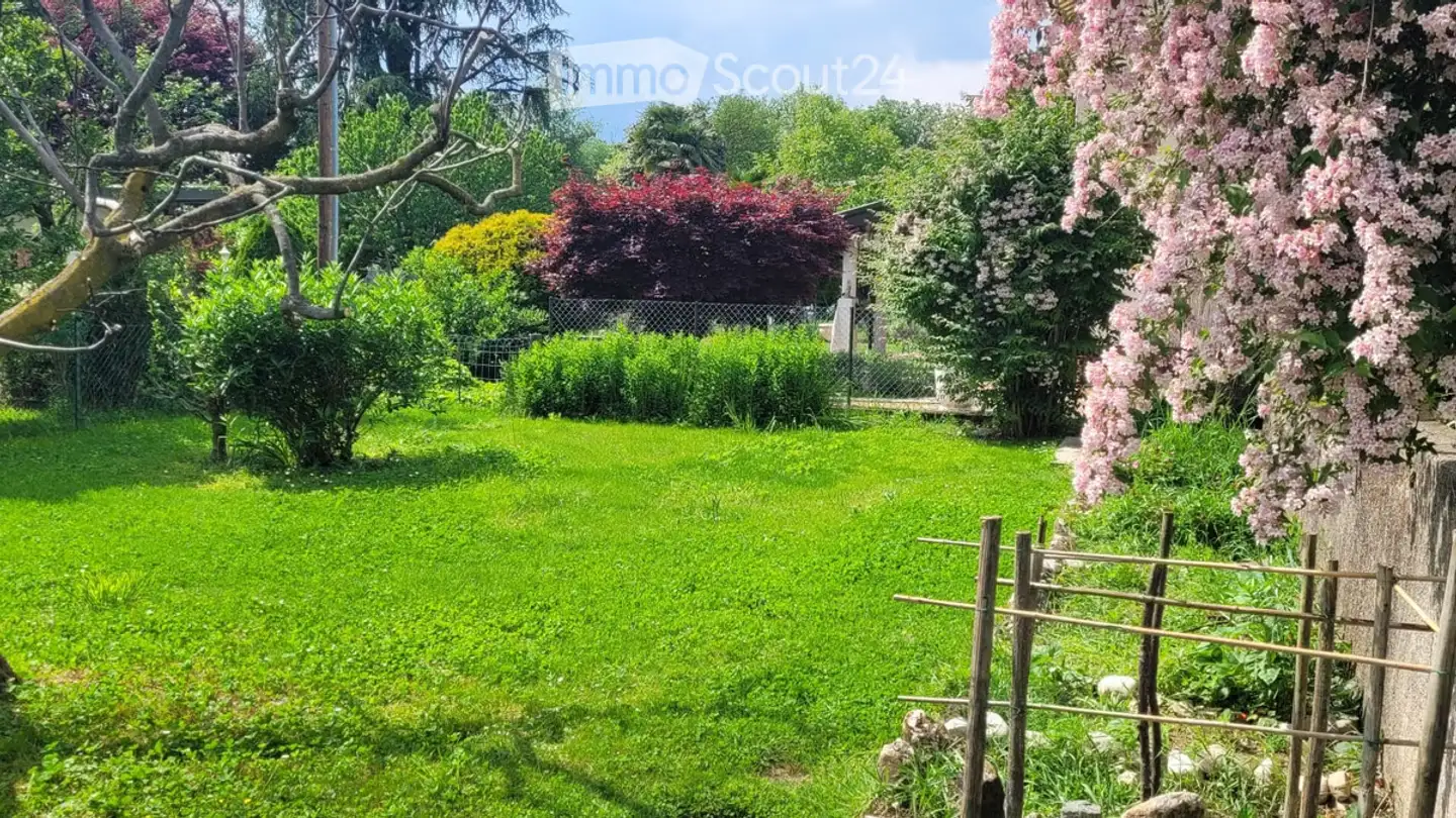 Appartamento in affitto - Via San Gottardo 53, 6877 Coldrerio - Foto 2