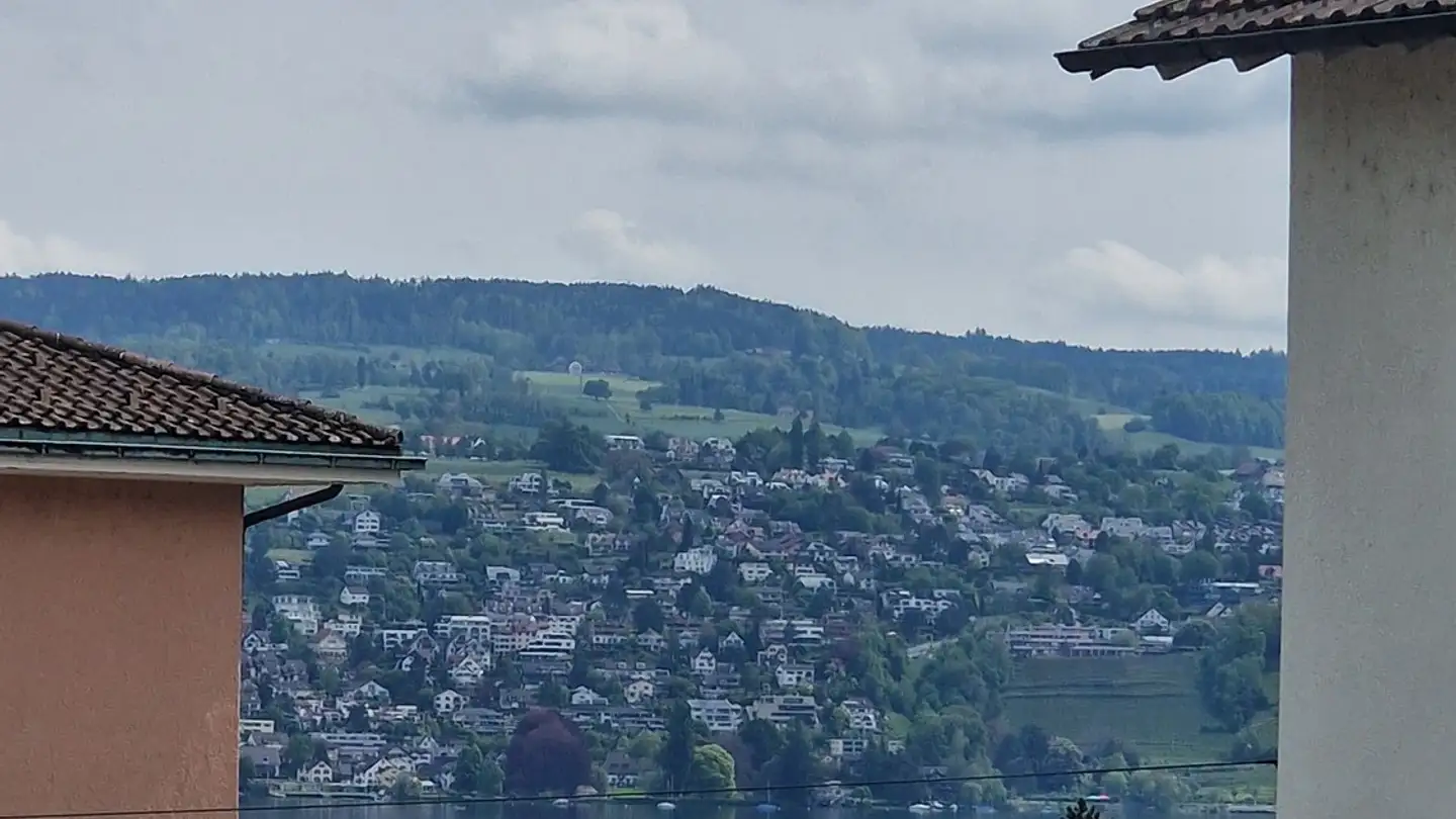 Stanza singola in affitto - Schwandelstrasse 8, 8800 Thalwil - Photo 3