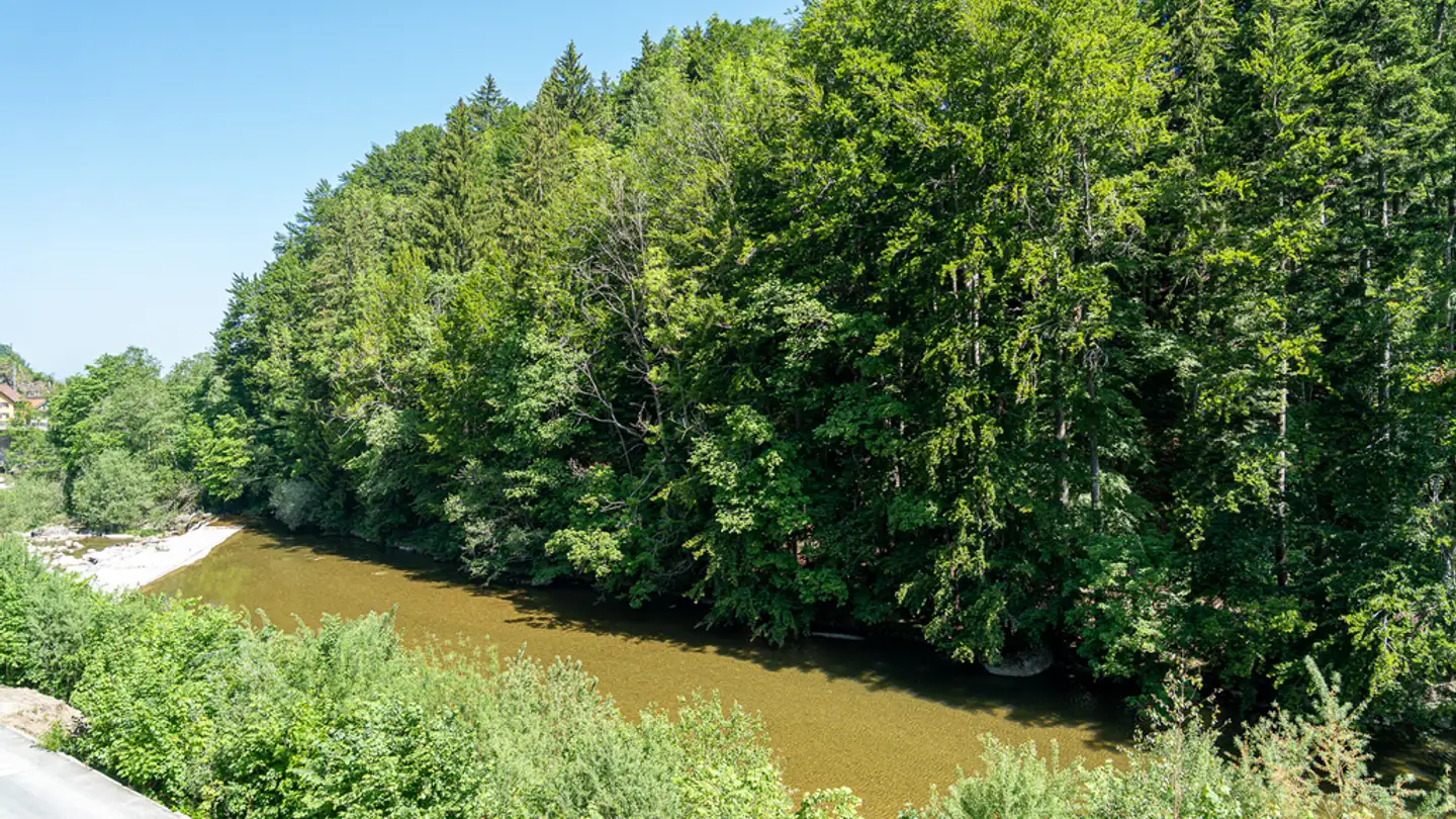 Commerciale in affitto - Sägereistrasse 9, 8834 Schindellegi - Photo 2