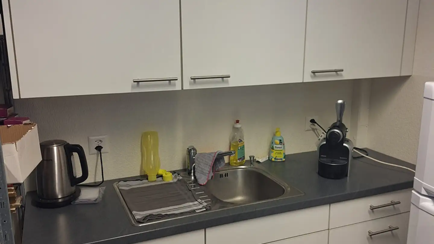 Commerciale in affitto - Sägereistrasse 7, 8834 Schindellegi - Photo 3