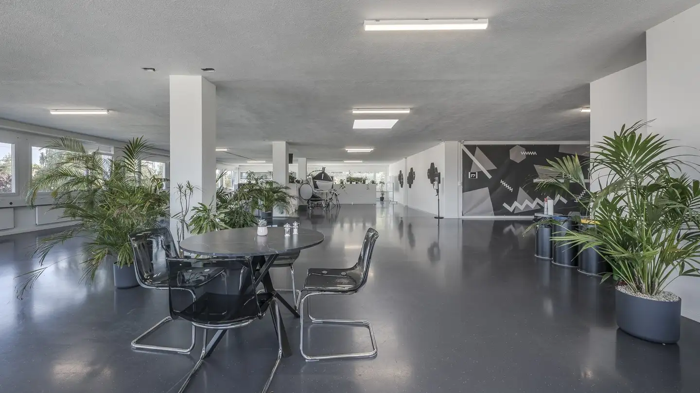 Commerciale in affitto - Riedwiesenstrasse 23, 8305 Dietlikon