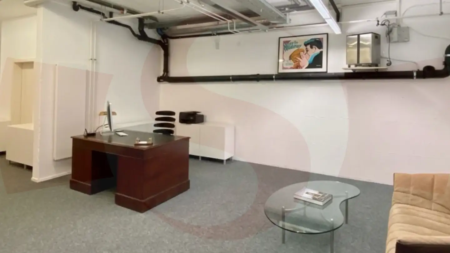Shop for sale - 1260 Nyon - Photo 3
