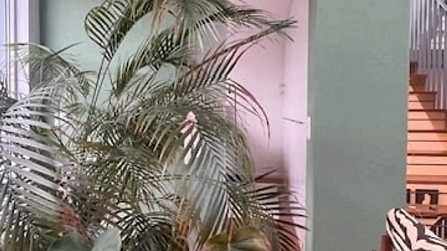 Chambre à louer - Röntgenstrasse, 8005 Zürich - Photo 4