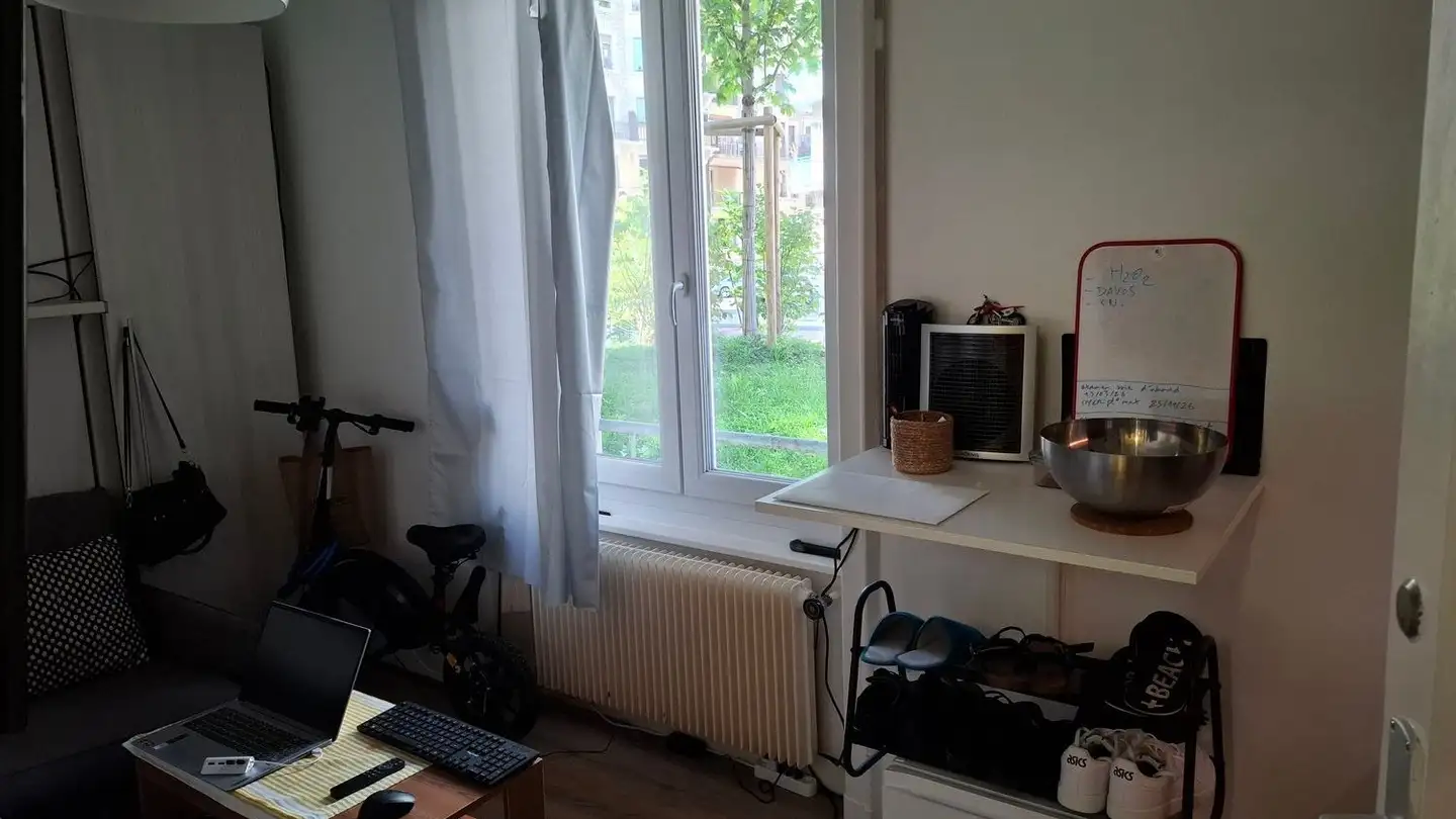 Studio for rent - Rue Henry-Spiess 1, 1208 Genève