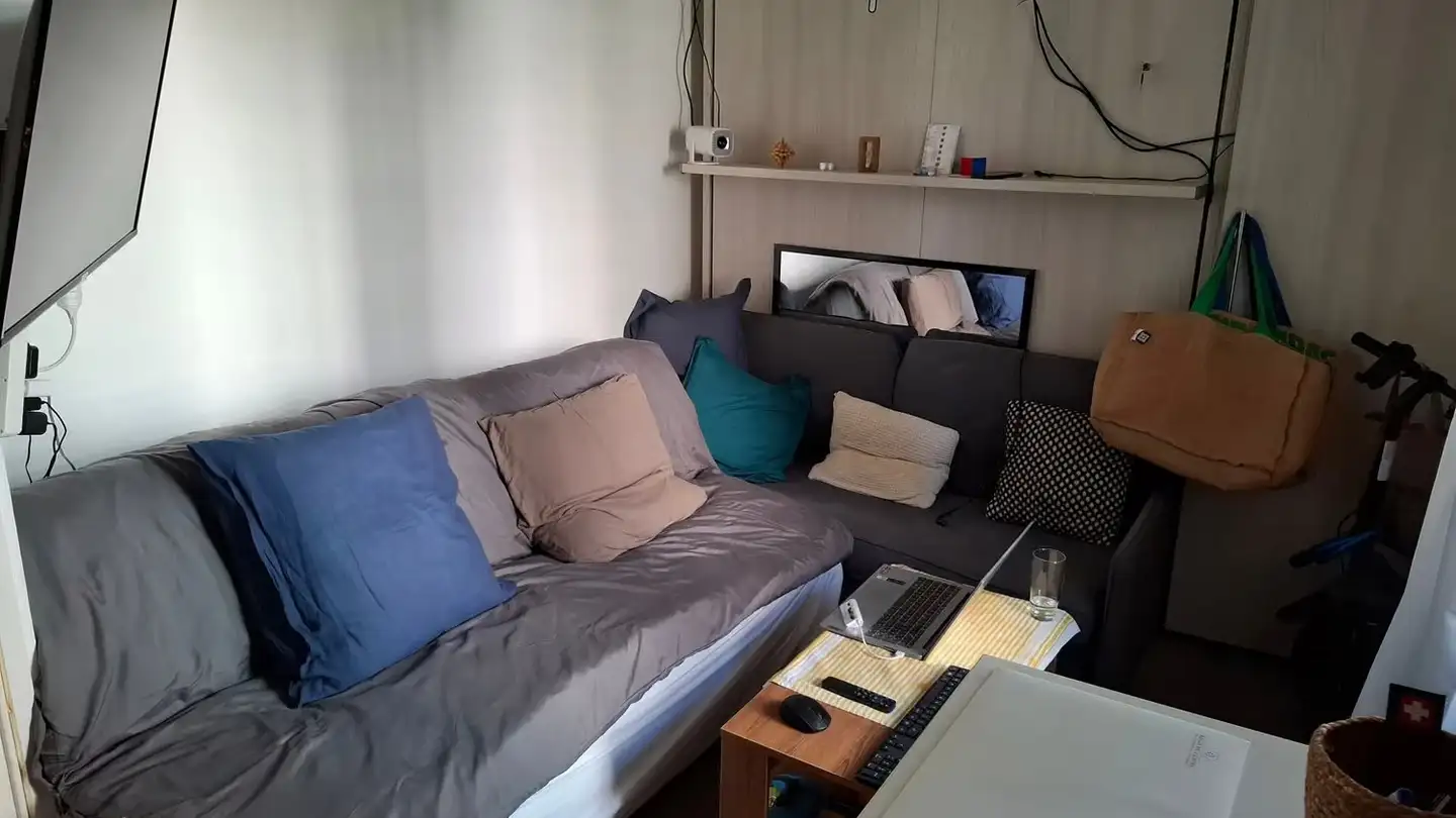 Studio for rent - Rue Henry-Spiess 1, 1208 Genève - Photo 2