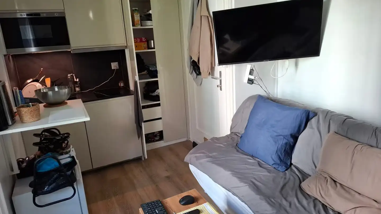Studio for rent - Rue Henry-Spiess 1, 1208 Genève - Photo 3