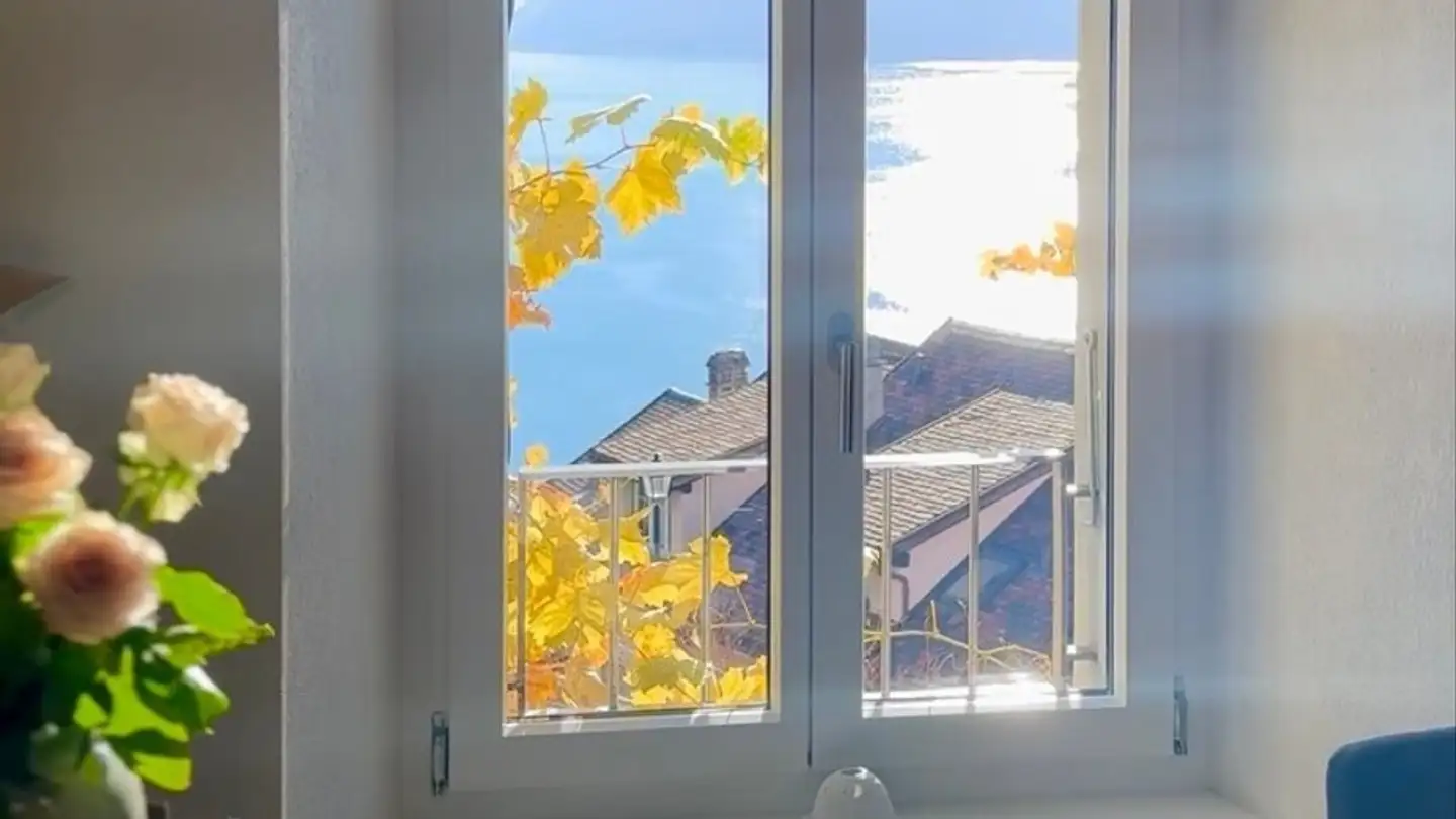 Apartment for rent - 1071 St-Saphorin (Lavaux)