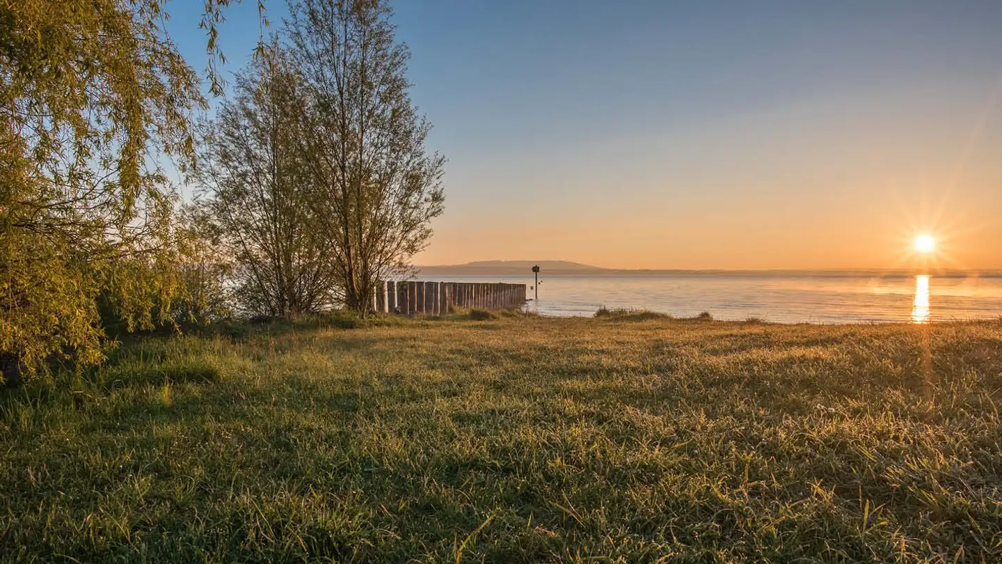 Villa à vendre - 8595 Altnau