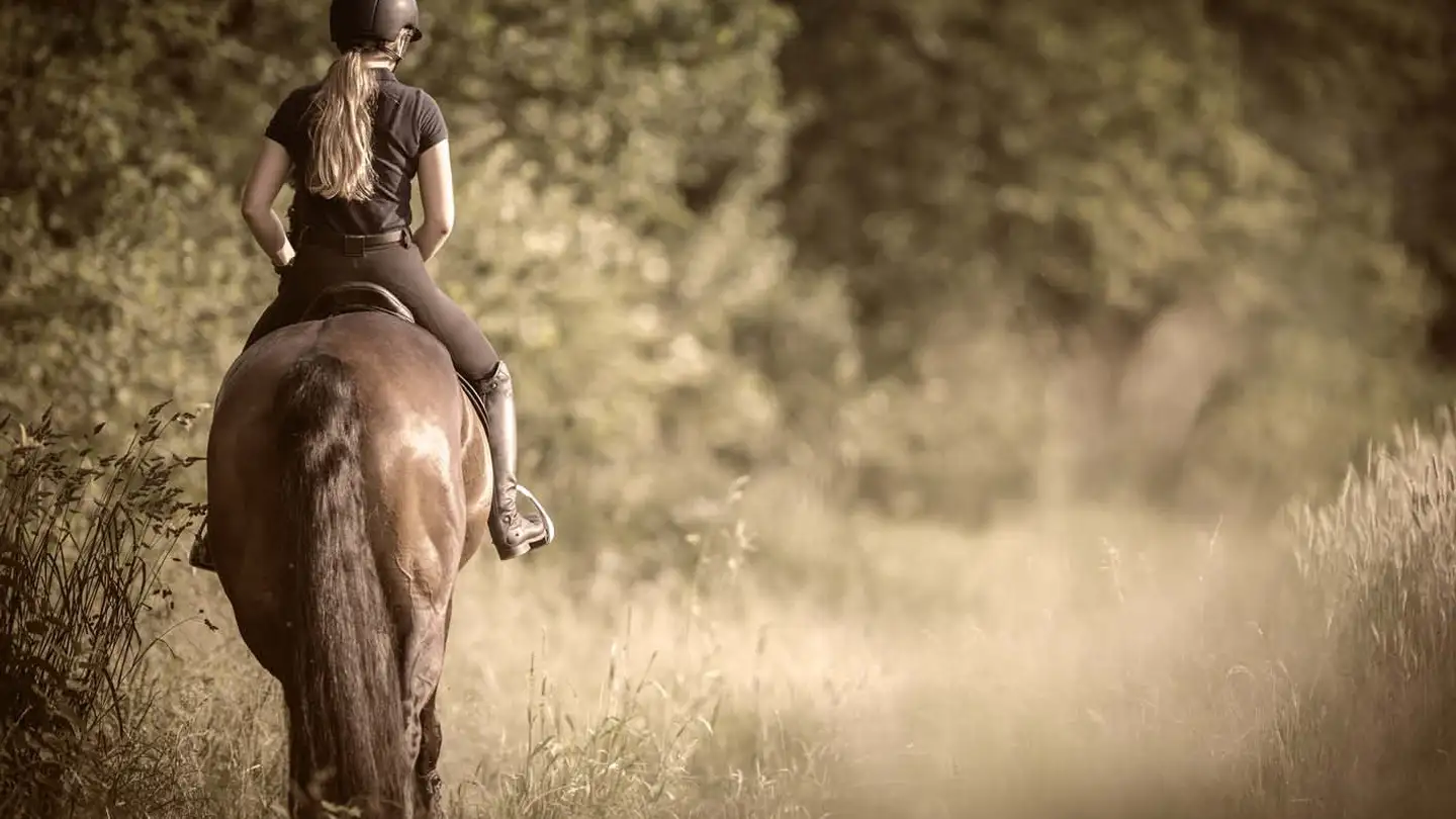 Villa in vendita - 8595 Altnau - Photo 4