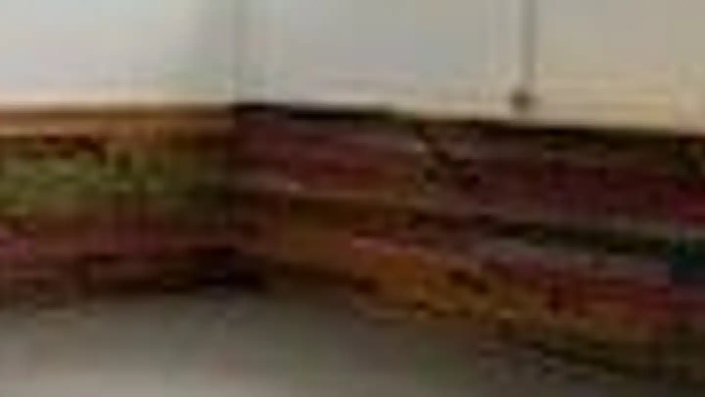 Proprietà industriale in affitto - Via Girella 20, 6814 Lamone - Photo 3