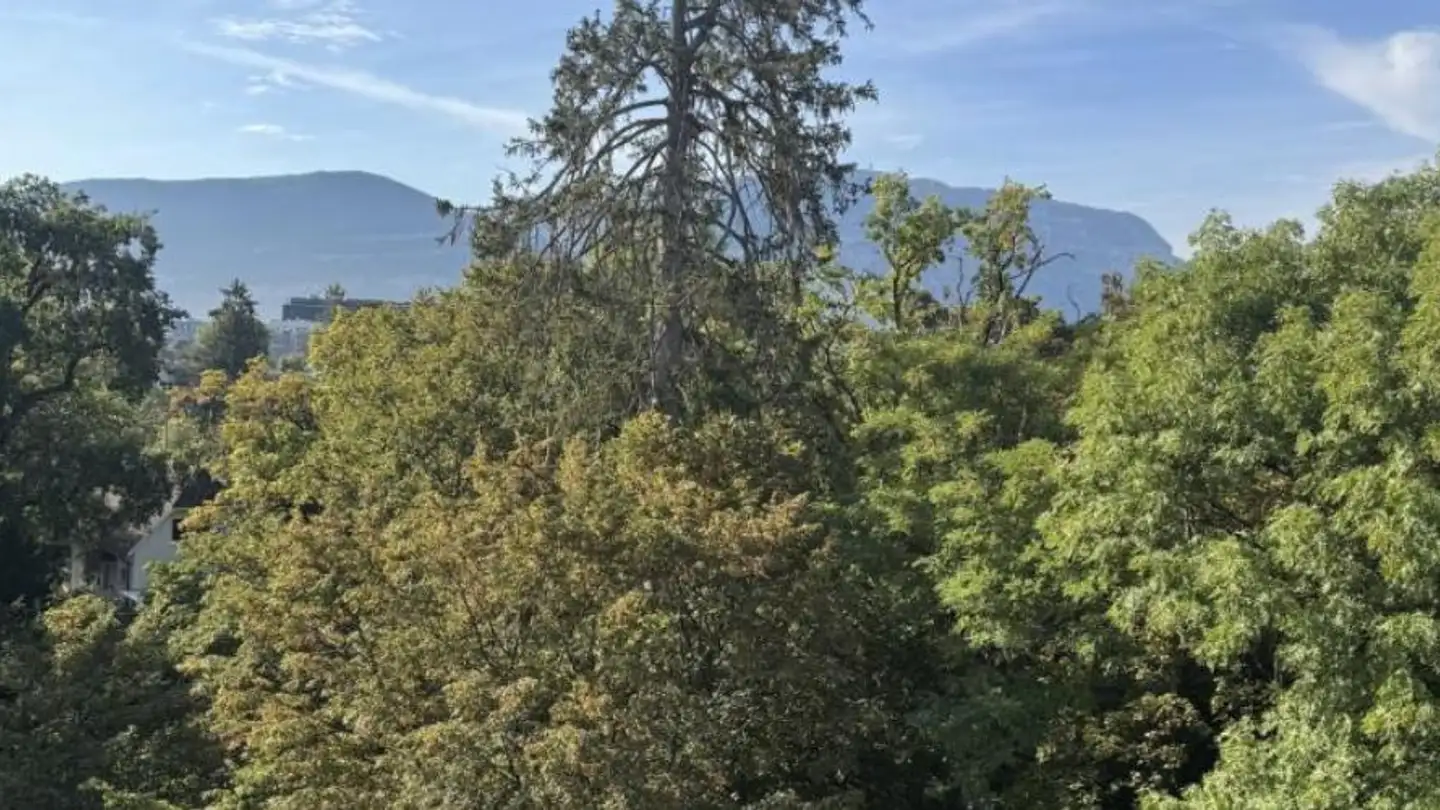 Apartment for rent - Chemin de la Montagne 78, 1224 Chêne-Bougeries