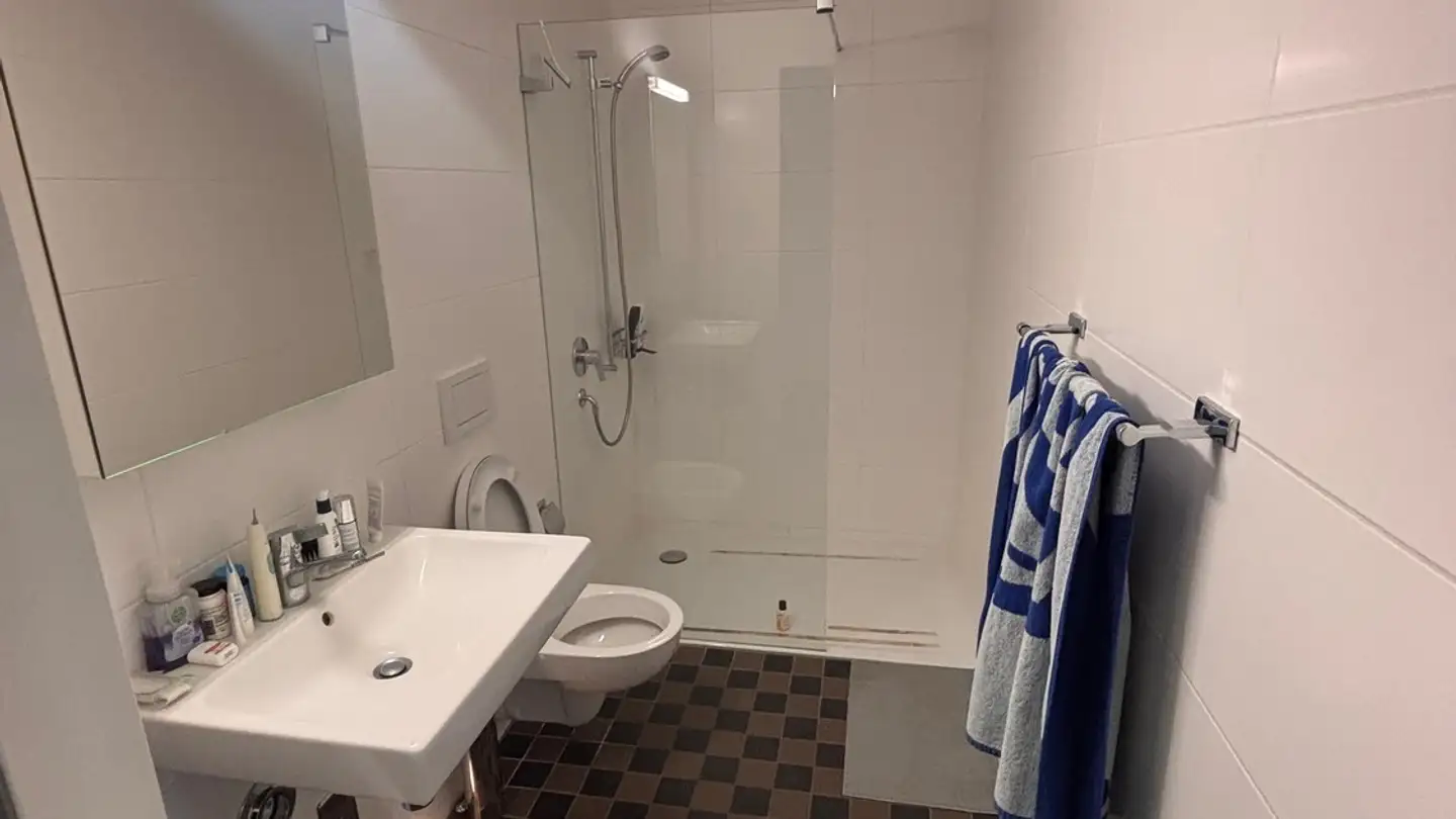Chambre à louer - 8005 Zürich - Photo 4