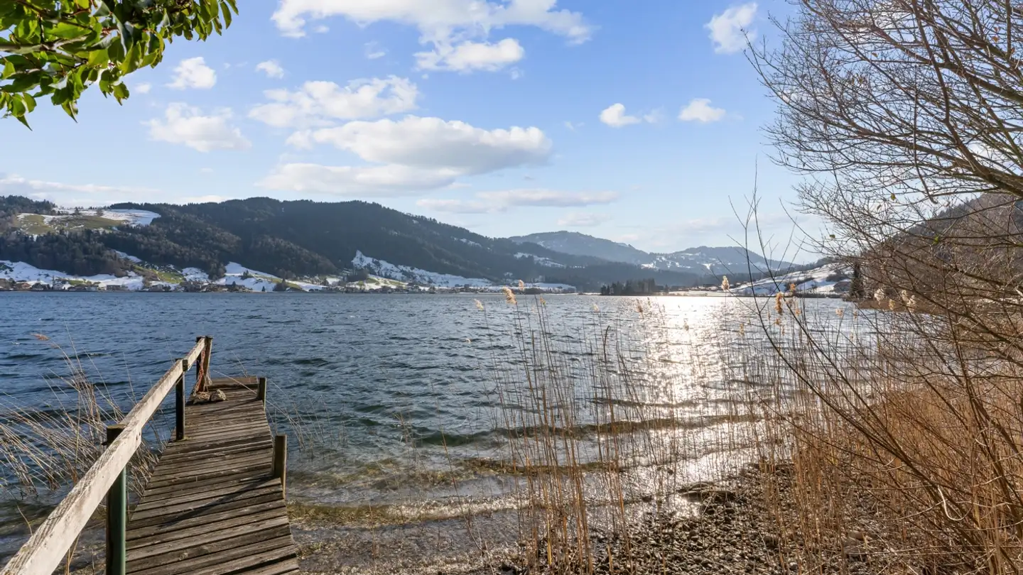 Einfamilienhaus kaufen - Naasstrasse 80, 6315 Morgarten - Foto 4