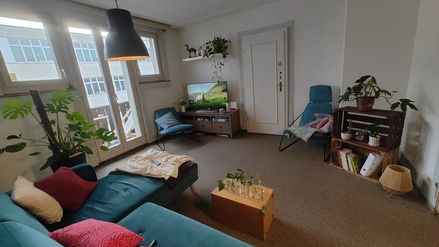 Single room for rent - Neue Jonastrasse 61, 8640 Rapperswil SG - Photo 4