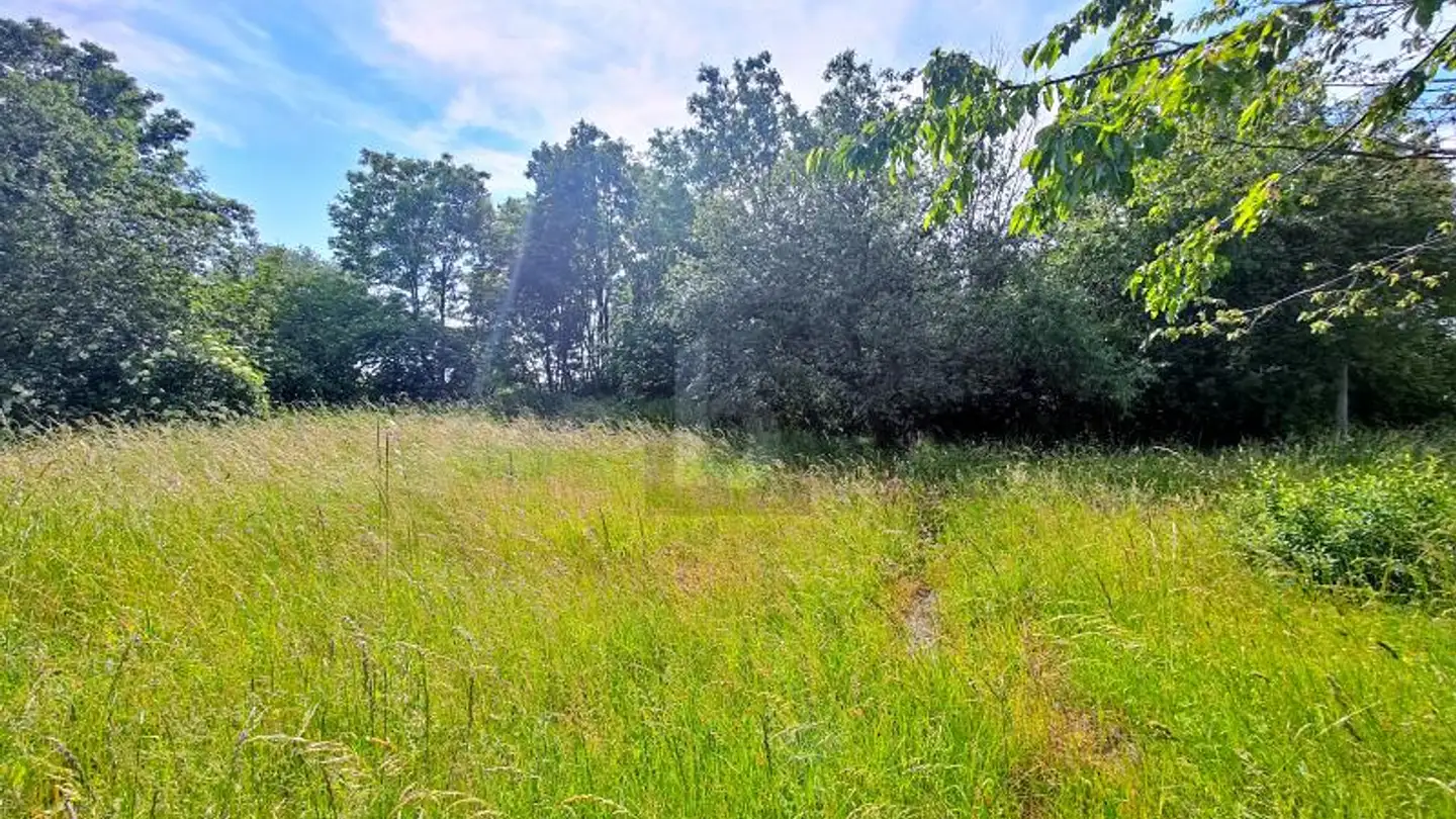 Immobile in vendita - 1680 Romont FR