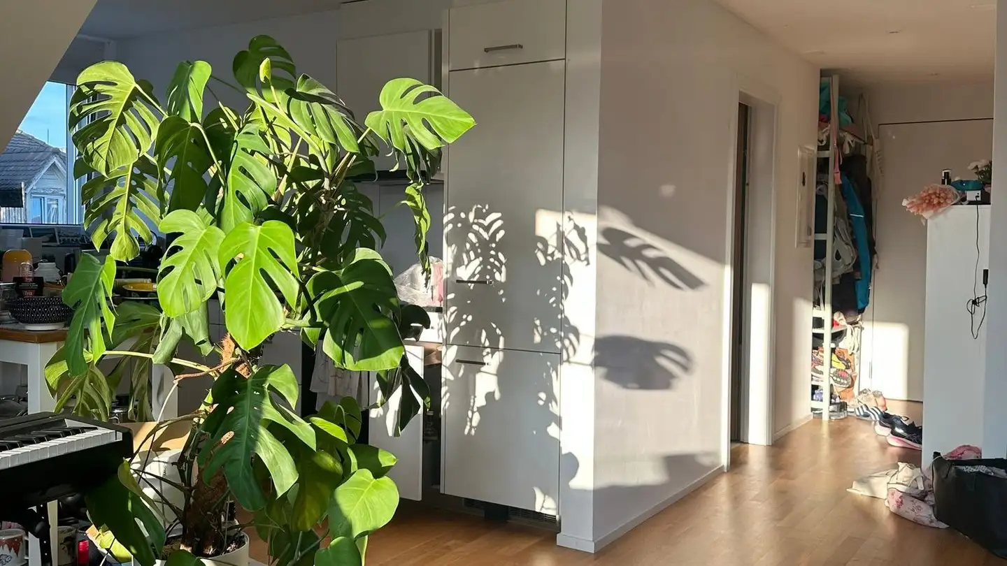 Dachgeschosswohnung mieten - Bürglistrasse 9, 8400 Winterthur