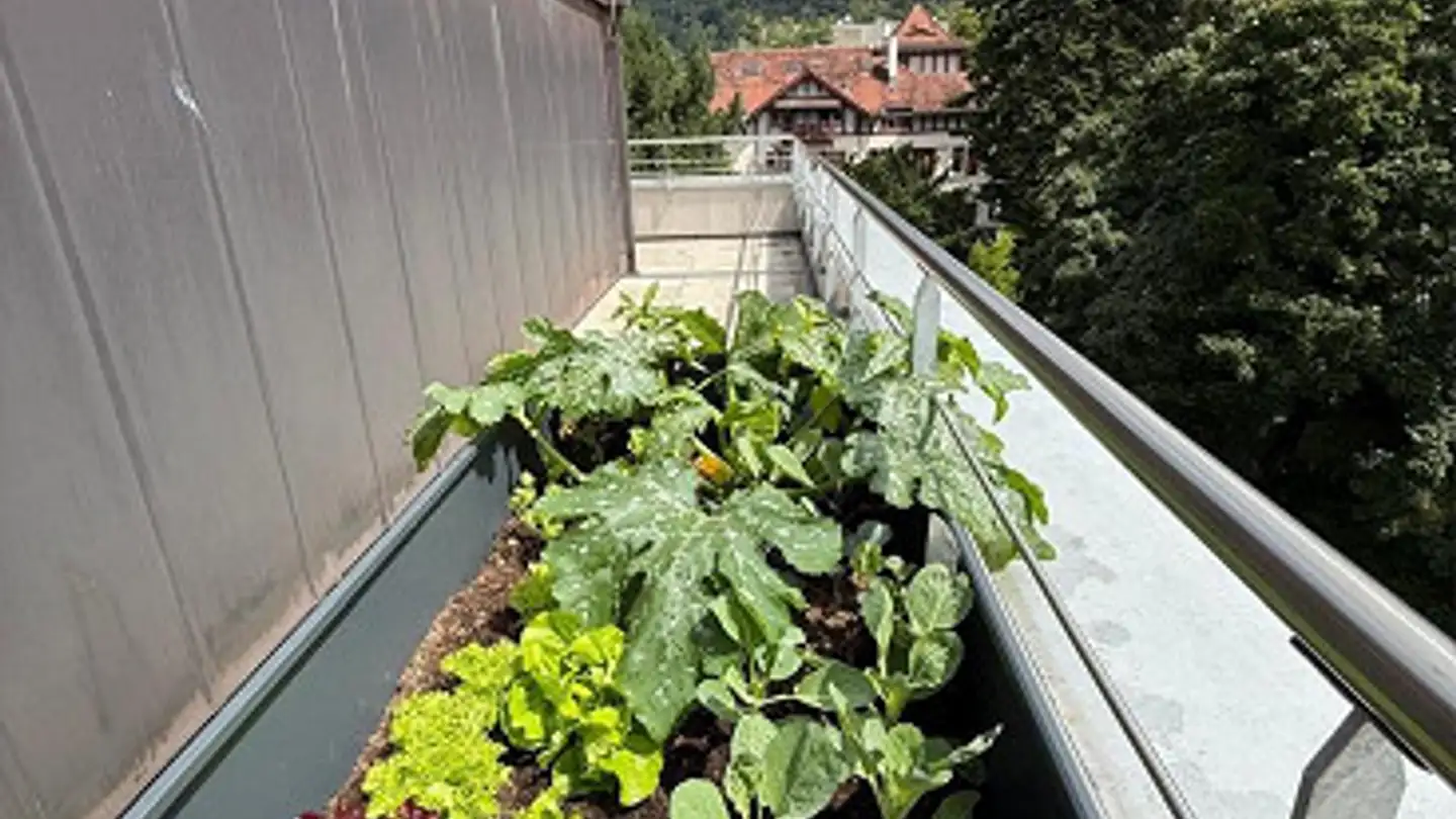 Penthouse for rent - Gäuggelistrasse 35, 7000 Chur - Photo 3