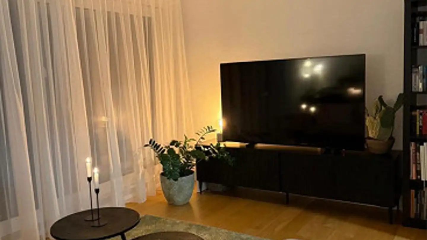 Penthouse for rent - Gäuggelistrasse 35, 7000 Chur - Photo 4