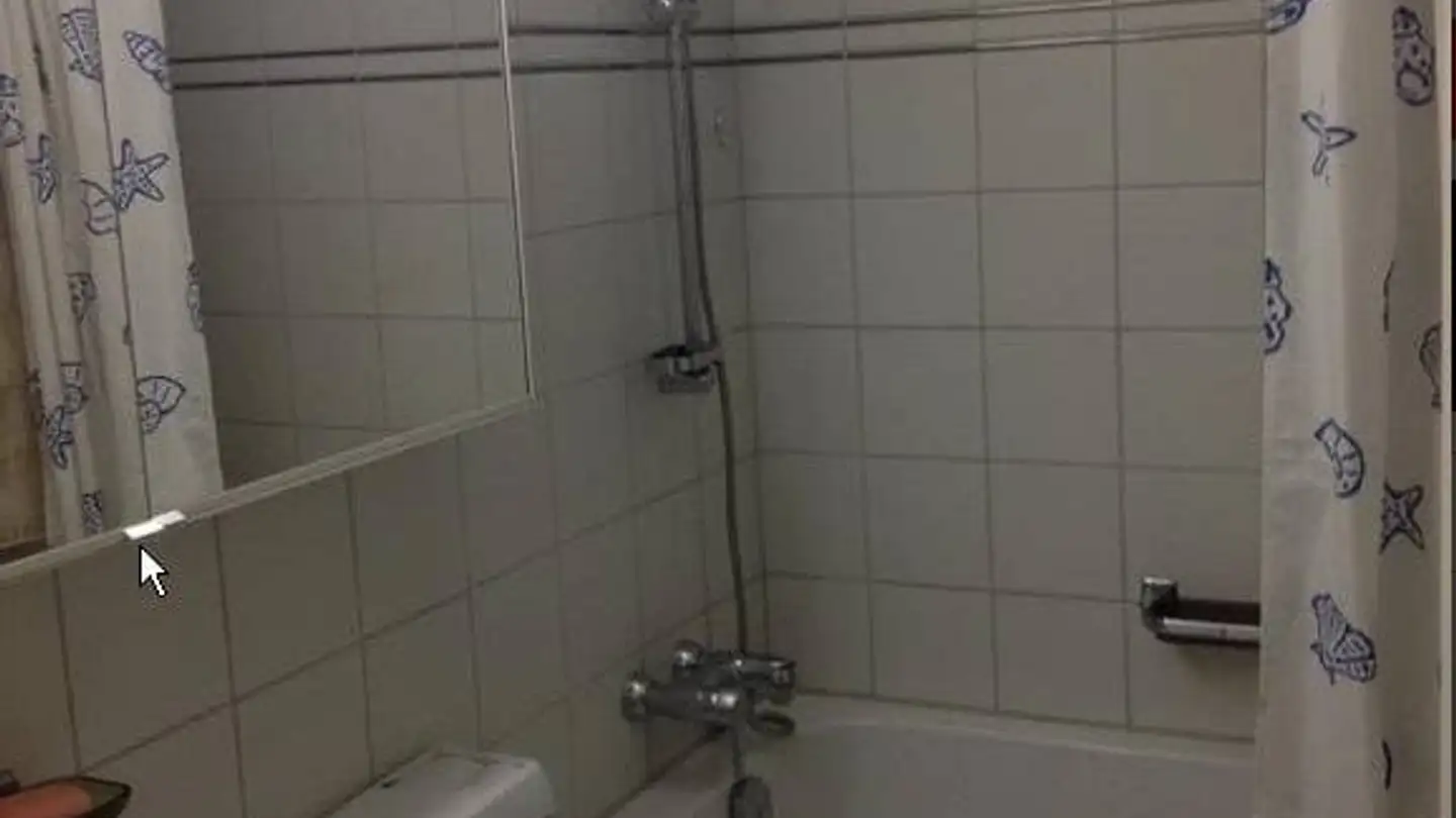 Apartment for rent - Gundeldingerstrasse, 4053 Basel - Photo 4