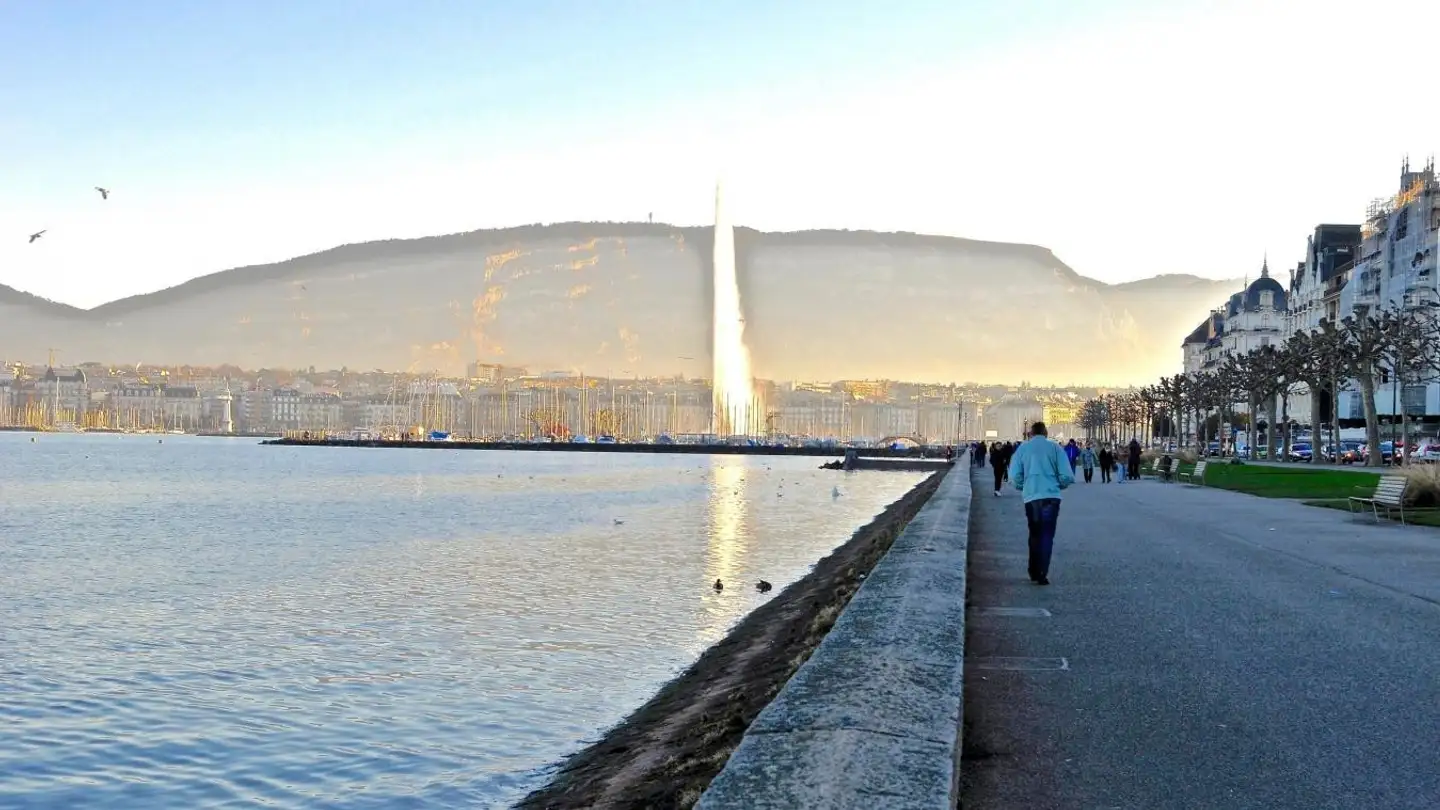 Single room for rent - 1202 Genève - Photo 2