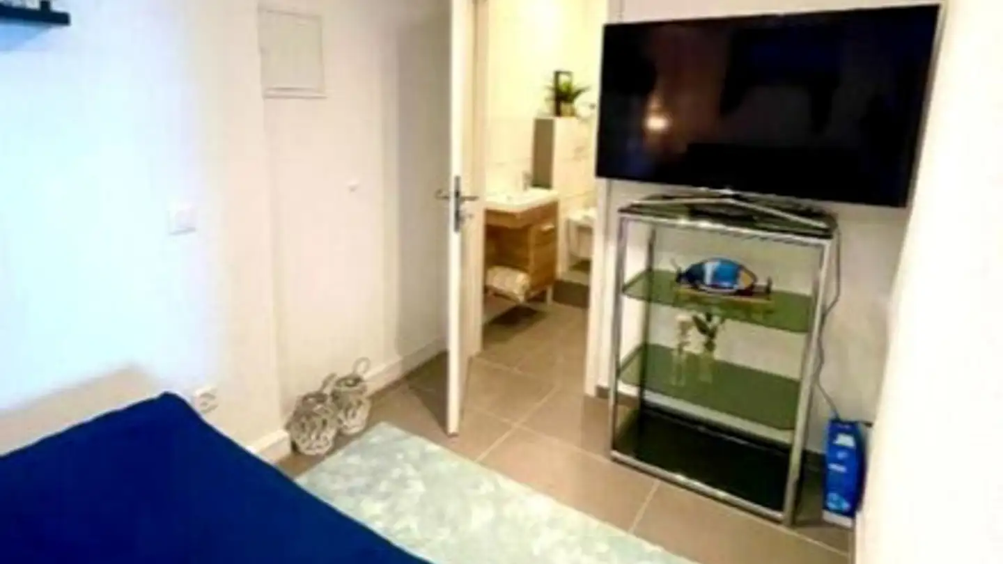 Appartement meublé à louer - 8267 Berlingen - Photo 4