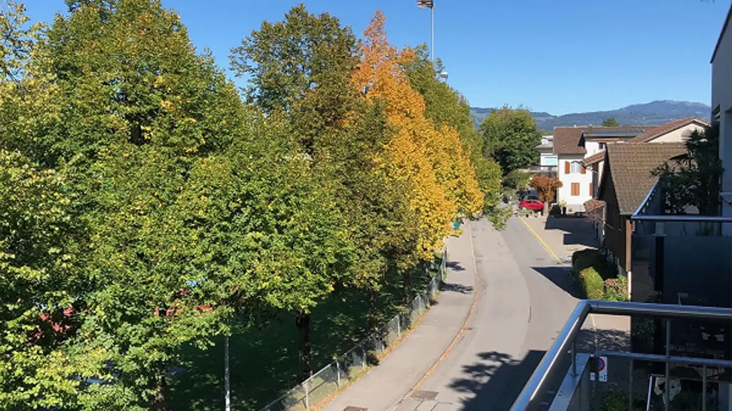 Appartement à louer - Riedweg 1, 8853 Lachen SZ - Photo 2