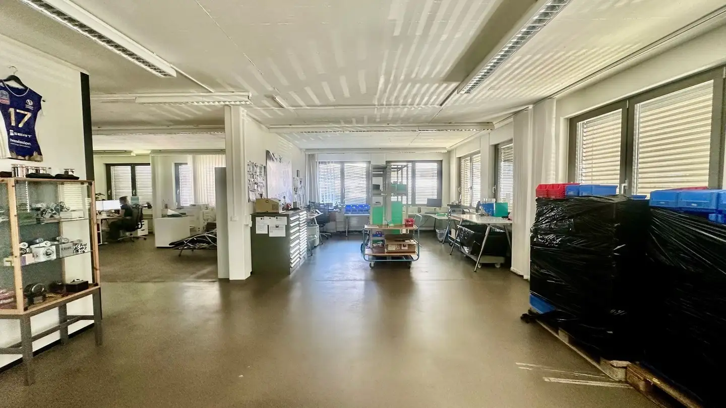 Commerciale in affitto - Steinhaldenstrasse 28, 8954 Geroldswil - Photo 4