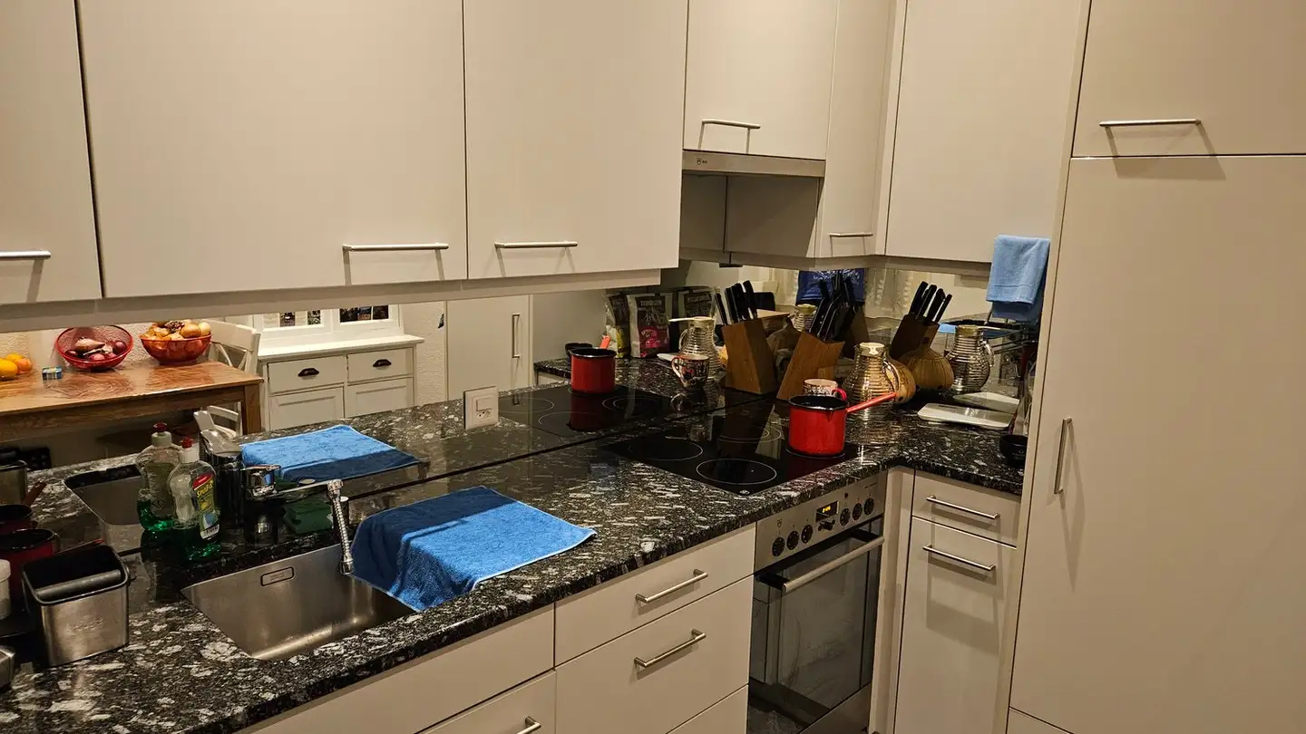 Apartment for rent - 3653 Oberhofen am Thunersee - Photo 4