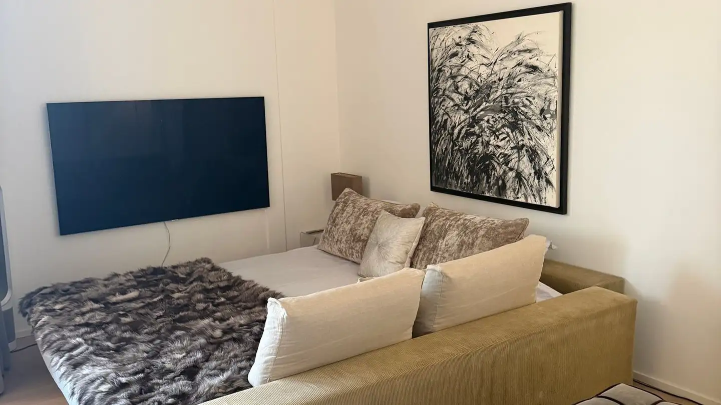 Appartement meublé à louer - Am Schanzengraben, 8002 Zürich - Photo 2