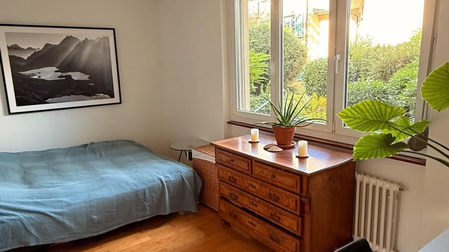 Stanza singola in affitto - Segantinistrasse 155, 8049 Zürich