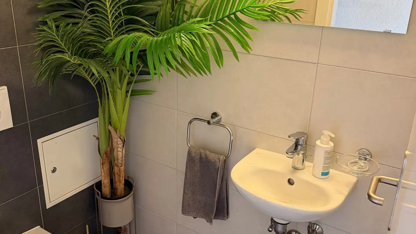 Appartamento in affitto - Clos Du Verger, 1510 Moudon - Foto 2