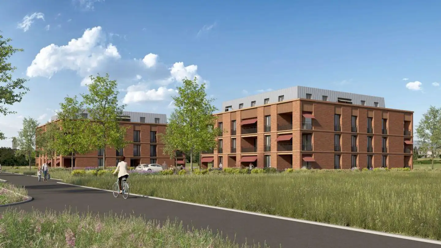 Appartement à louer - Schlossmatten 11, 5503 Schafisheim - Photo 2