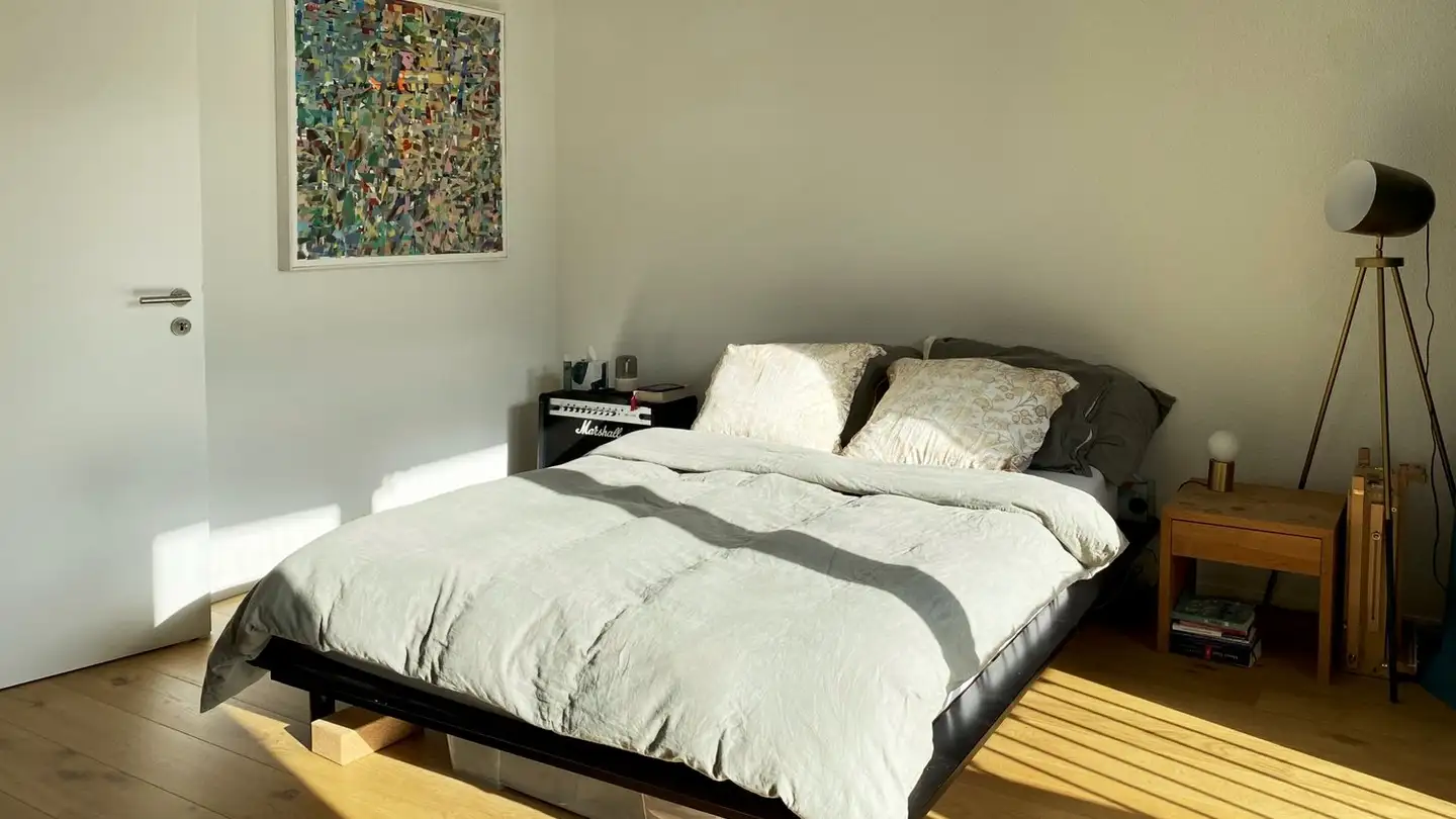 Appartement à louer - Albisriederstrasse 17, 8003 Zürich - Photo 3