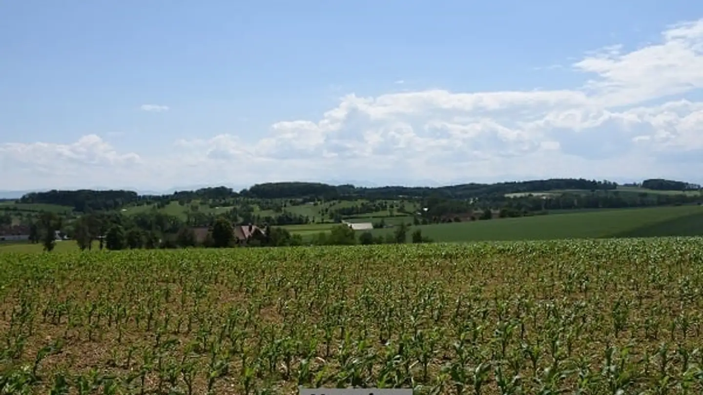 Bien immobilier à vendre - 6938 Vezio