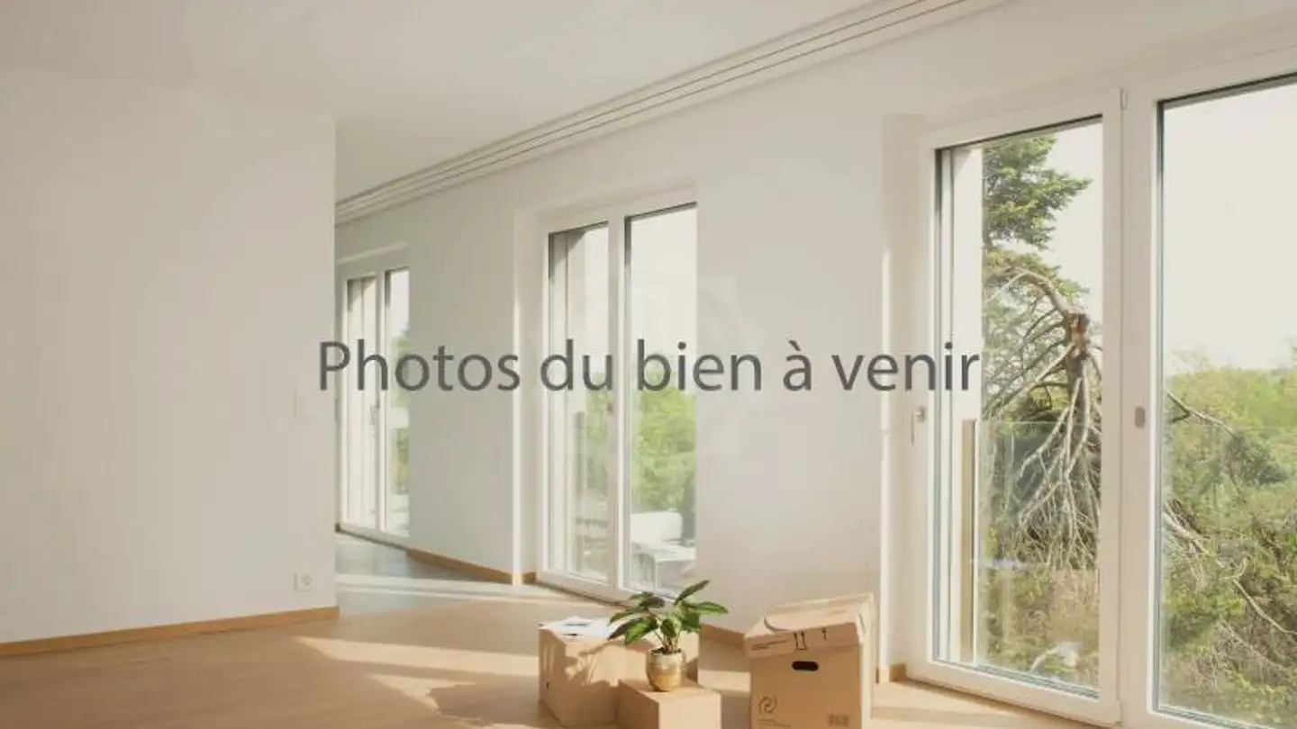Appartement à louer - Chemin De-Sales 11, 1214 Vernier