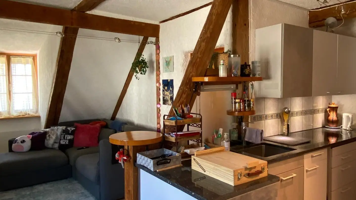 Appartement à louer - Kehlhofweg 1, 8488 Turbenthal - Photo 3