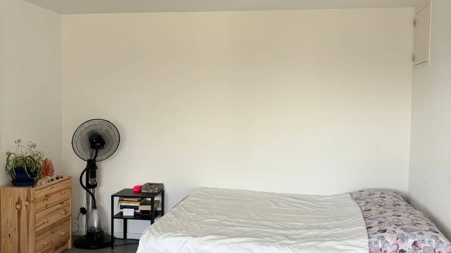 Appartement à louer - 8603 Schwerzenbach - Photo 3