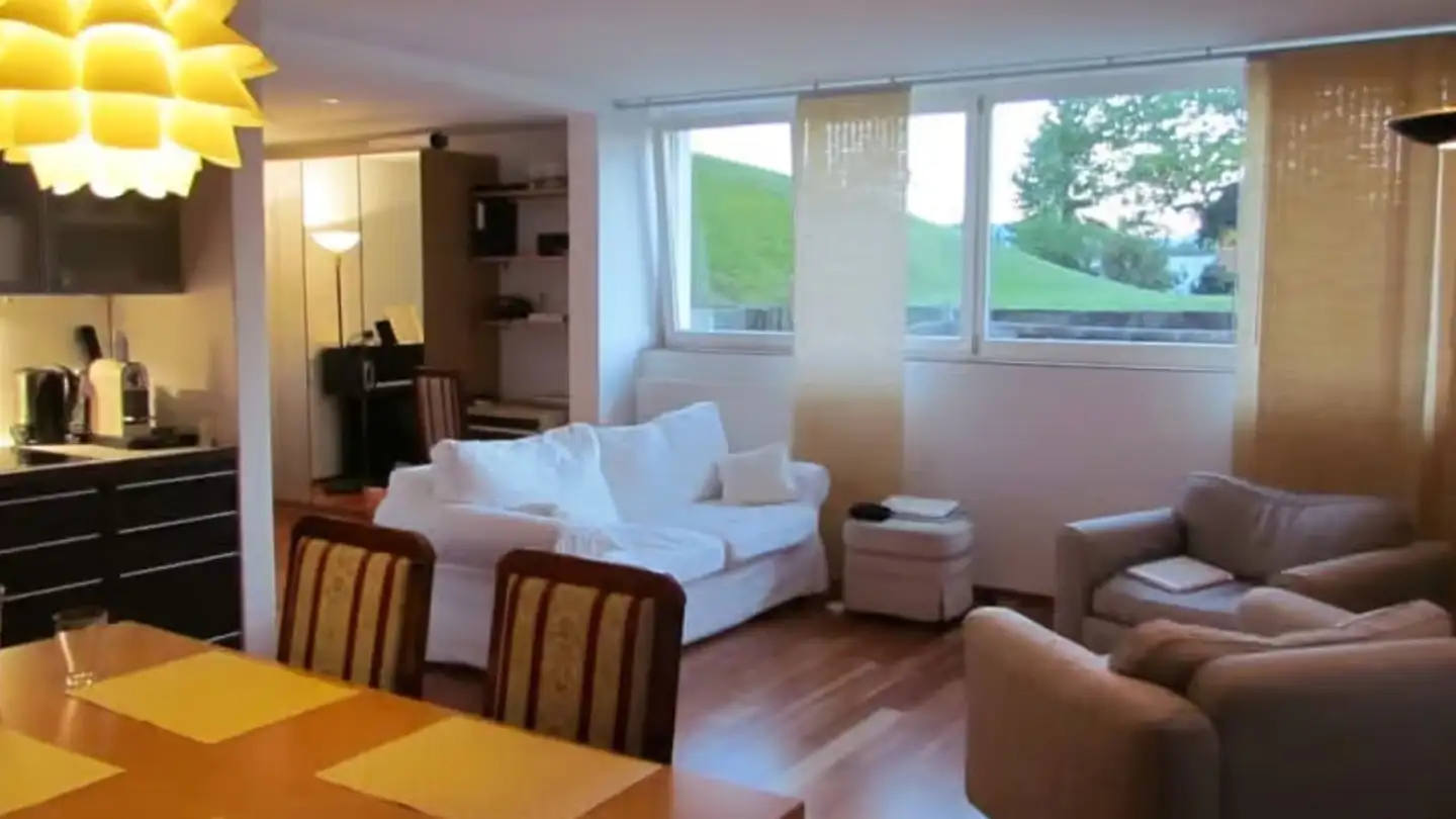 Studio for rent - Weinmanngasse, 8700 Küsnacht ZH - Photo 3